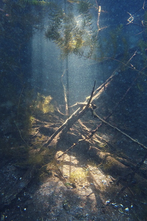 Light is like Oxygen