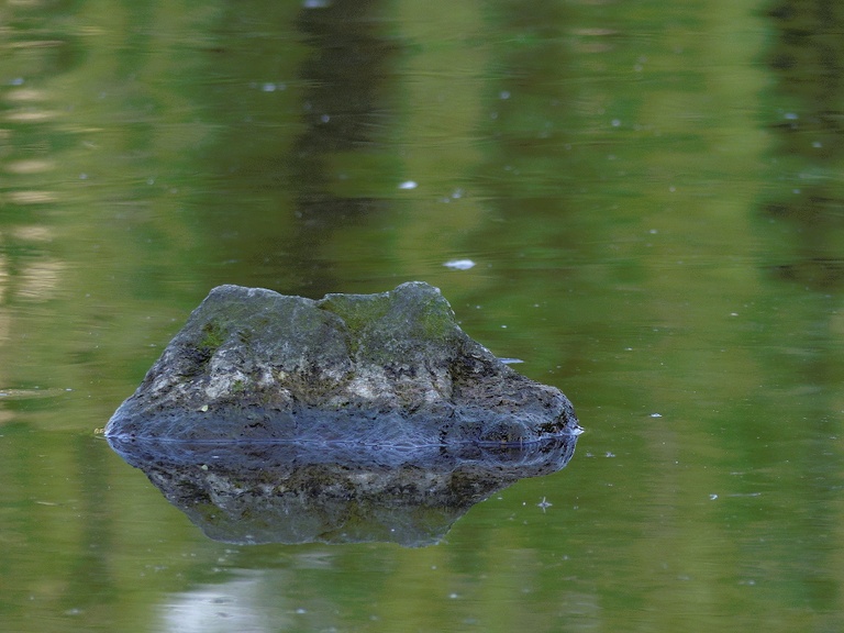 Stein im Wasser