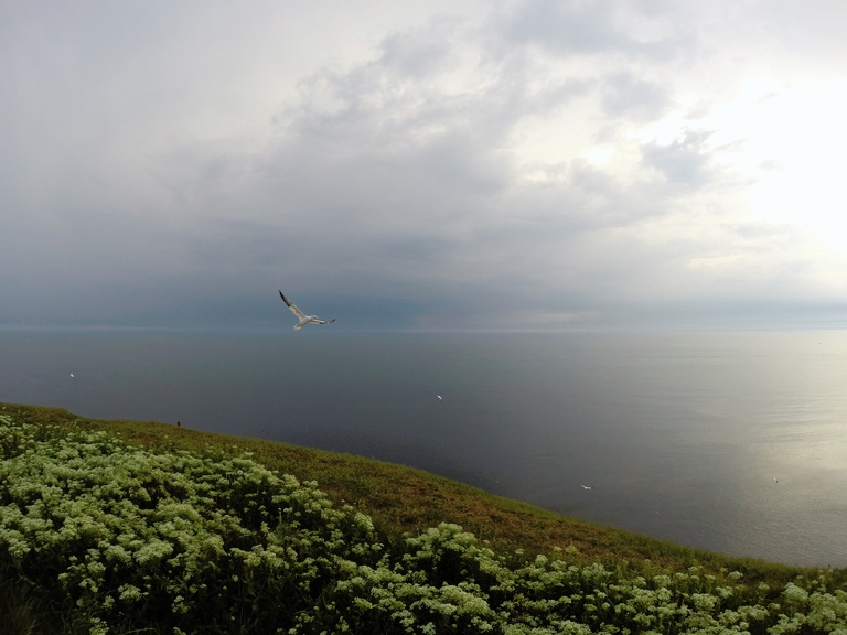 Am Anfang des Gewitters