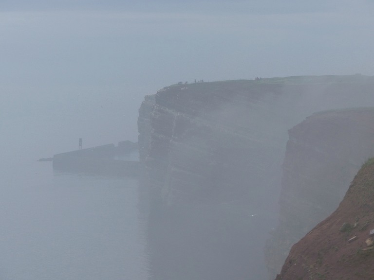 Vogelfelsen im Dunst