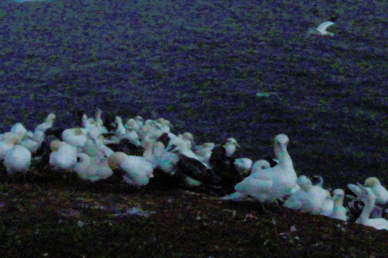 GoPro ISO 5018 (100%-Ausschnitt)