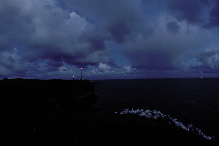 Vogelfelsen und Oberland bei Nacht