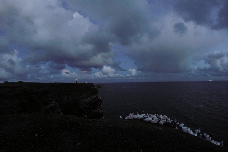 Vogelfelsen und Oberland bei Nacht