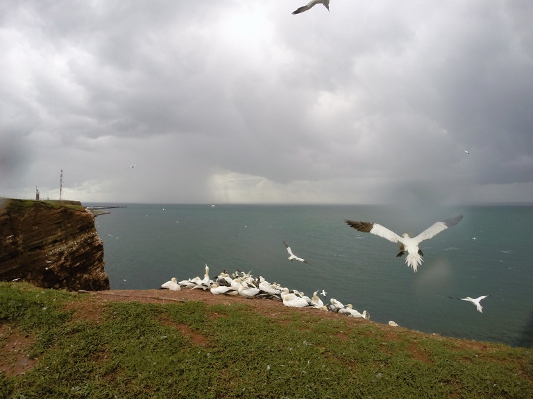 Regentropfen auf der Frontlinse