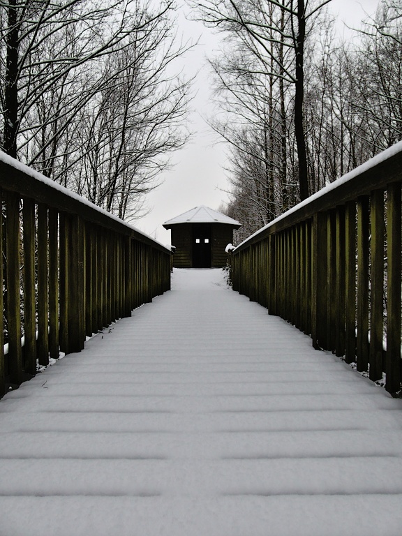 Beobachtungshütte am Haubachsee