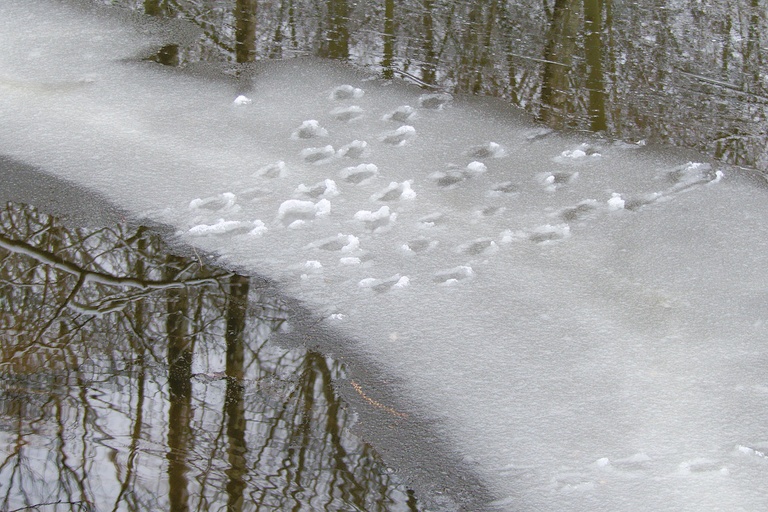 Spuren im Schneematch