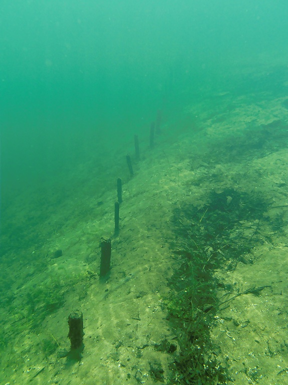 Keine schlechte Sicht